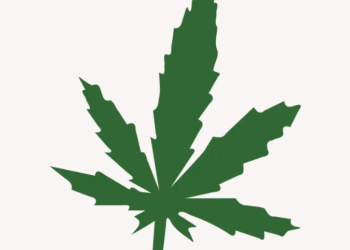 How does cannabis work for pain?