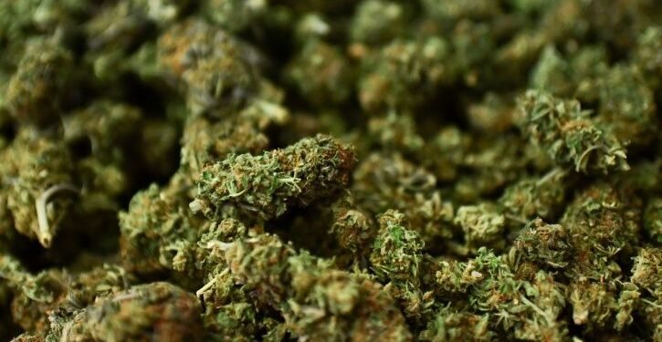 Weed Dispensary and the Creative Mind: How Artists and Innovators Use Marijuana