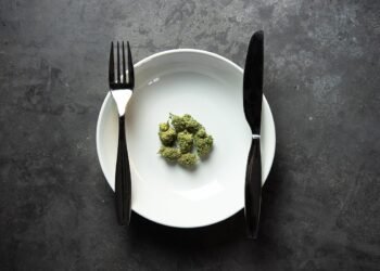 Nurturing Nature: Your Guide to Growing Cannabis from the Perfect Weed Seeds