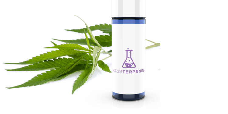Terpenes for Sale: What to Know Before You Shop