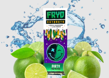 Fryd Carts vs Traditional Vape Pens: Pros and Cons